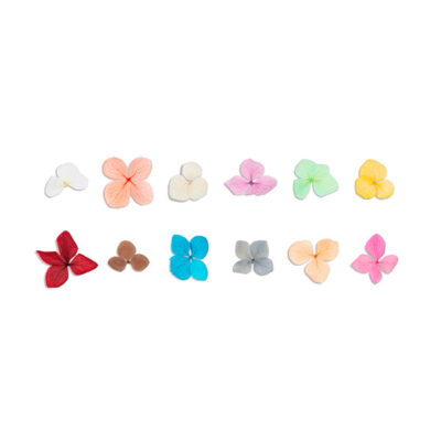 Dried flowers for nail art (2 options)
